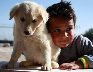 dog and boy in Palestine.jpg