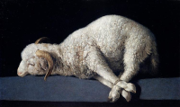 Agnus dei Francisco de Zurbaran.png